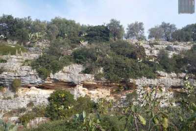 Lama San Giorgio: grotte, natura selvaggia e ripide strade. A due passi da Bari